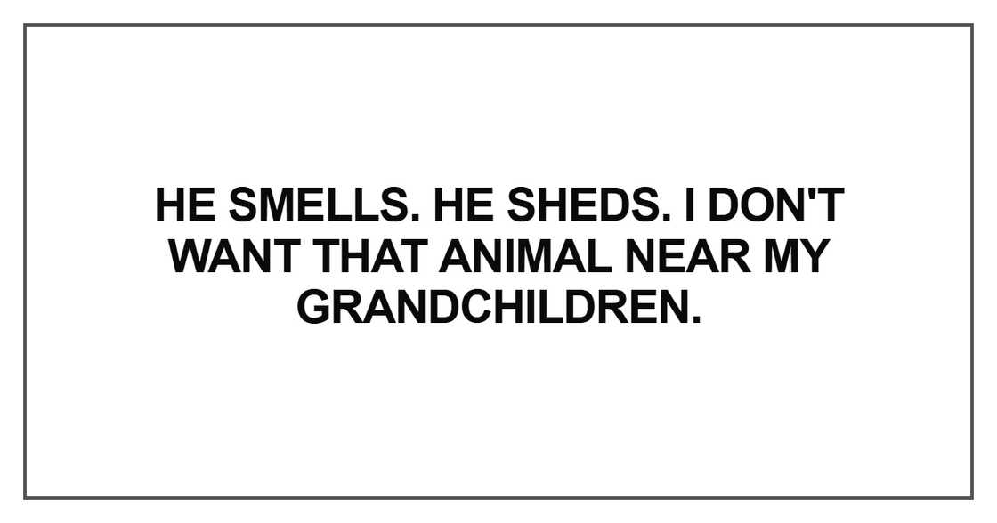 He smells. He sheds He smells. He sheds