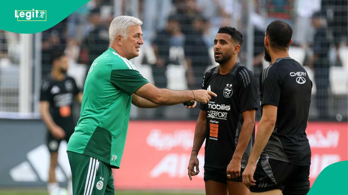Vladimir Petkovic, Riyad Mahrez, Les Fennecs, Algeria, World Cup. Vladimir Petkovic, Riyad Mahrez, Les Fennecs, Algeria, World Cup.