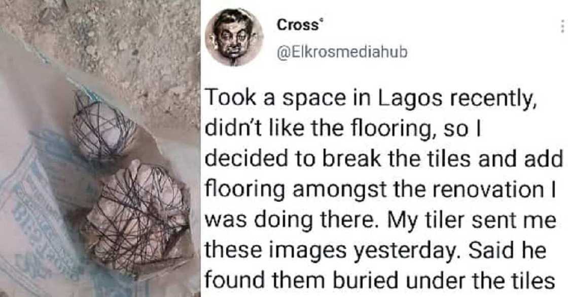 Juju a Legas Juju a Legas