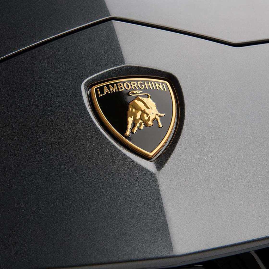 Expensive car logos Expensive car logos