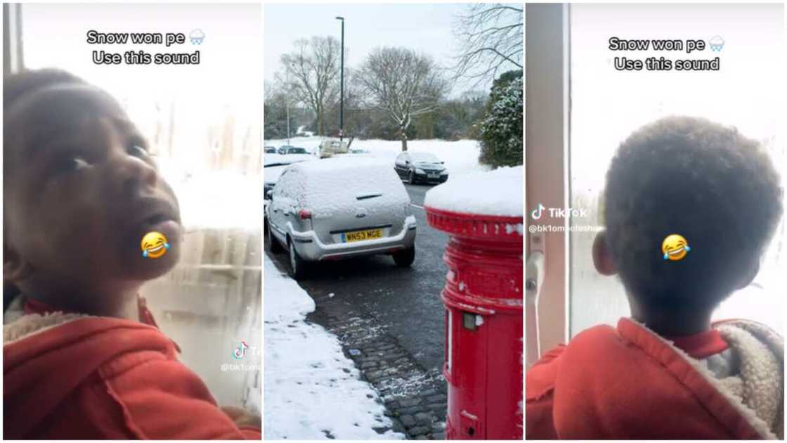 Kid sees snow abroad/boy calls snow garri Kid sees snow abroad/boy calls snow garri