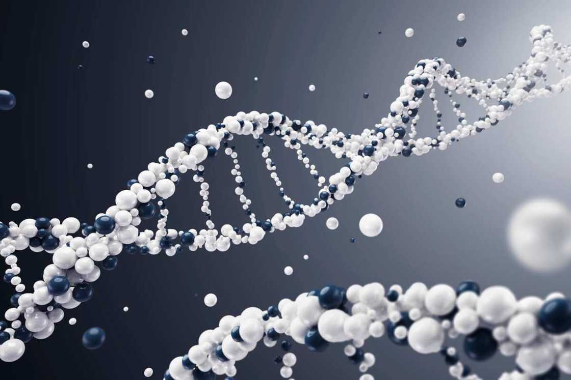 DNA built of spheres with dark background DNA built of spheres with dark background