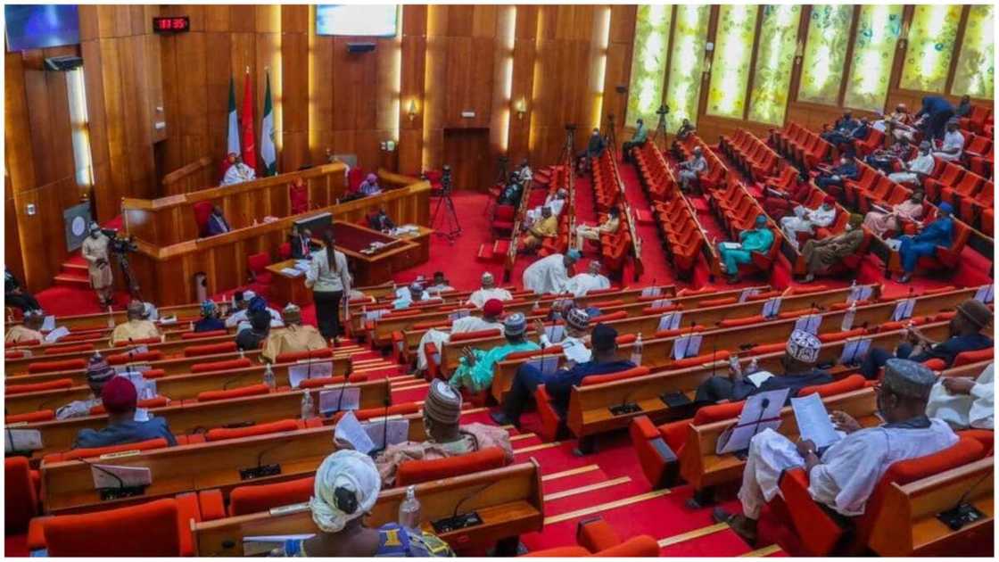 Full list: Senate confirms 7 nominees as INEC commissioners Full list: Senate confirms 7 nominees as INEC commissioners