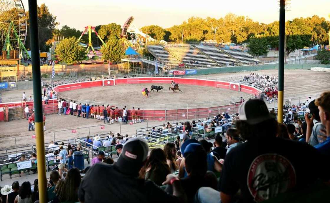 Some 4,000 spectators watch bullfighting at an arena in the small rural Californian town of Turlock Some 4,000 spectators watch bullfighting at an arena in the small rural Californian town of Turlock
