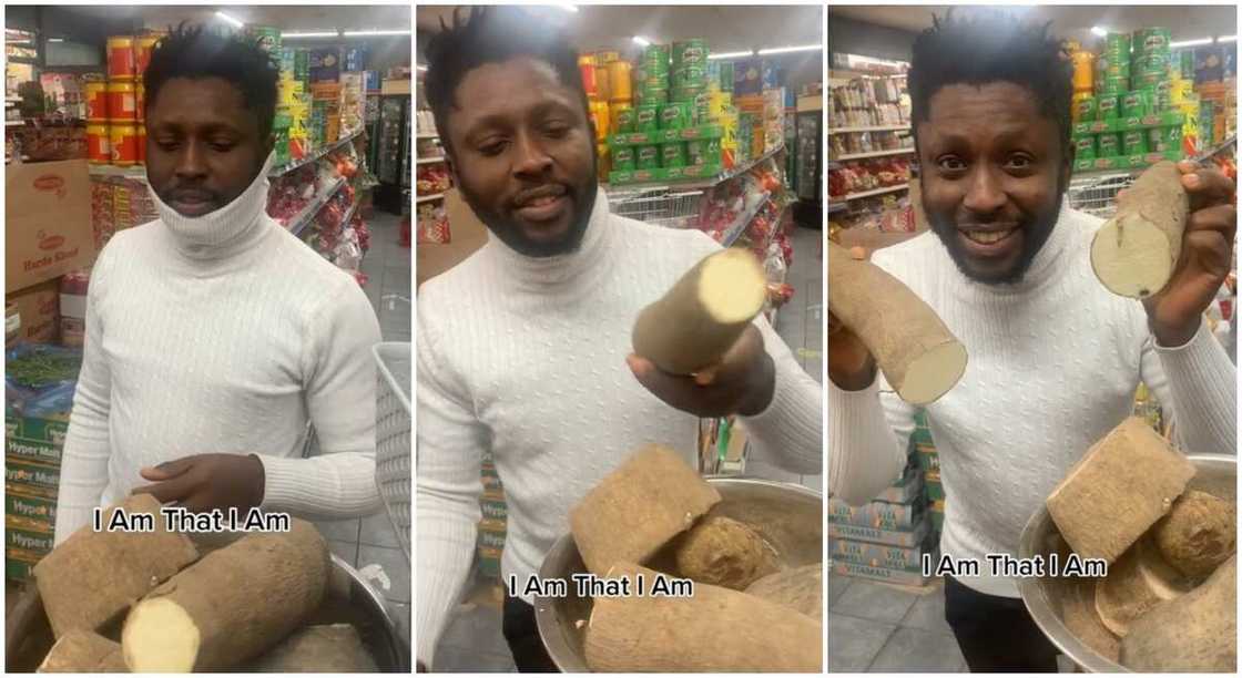 Photos of a young man showing off yam. Photos of a young man showing off yam.