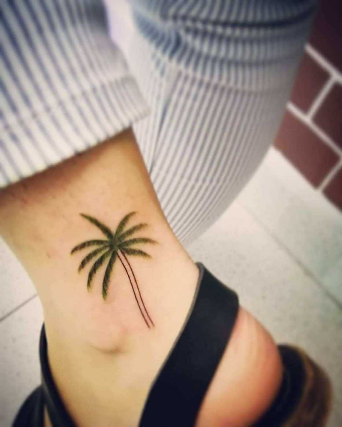 palm tree tattoo design