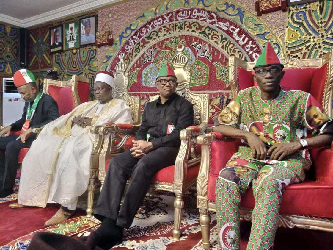 Peter Obi, Bola Tinubu, 2023 election, Atiku Abubakar, PDP, Labour Party, APC, NNPP, Rabiu Kwankwaso Peter Obi, Bola Tinubu, 2023 election, Atiku Abubakar, PDP, Labour Party, APC, NNPP, Rabiu Kwankwaso
