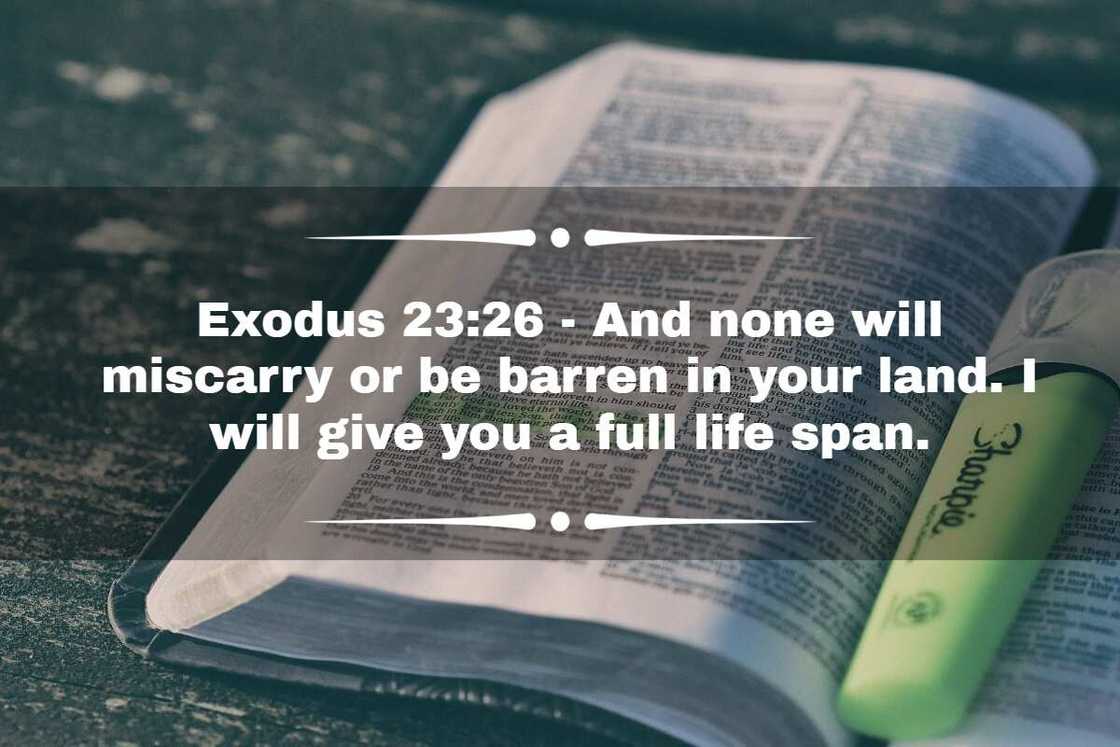 Bible verse when praying for safe delivery
