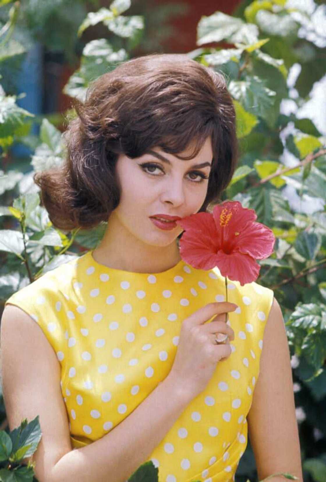 Michèle Mercier jeune Michèle Mercier jeune