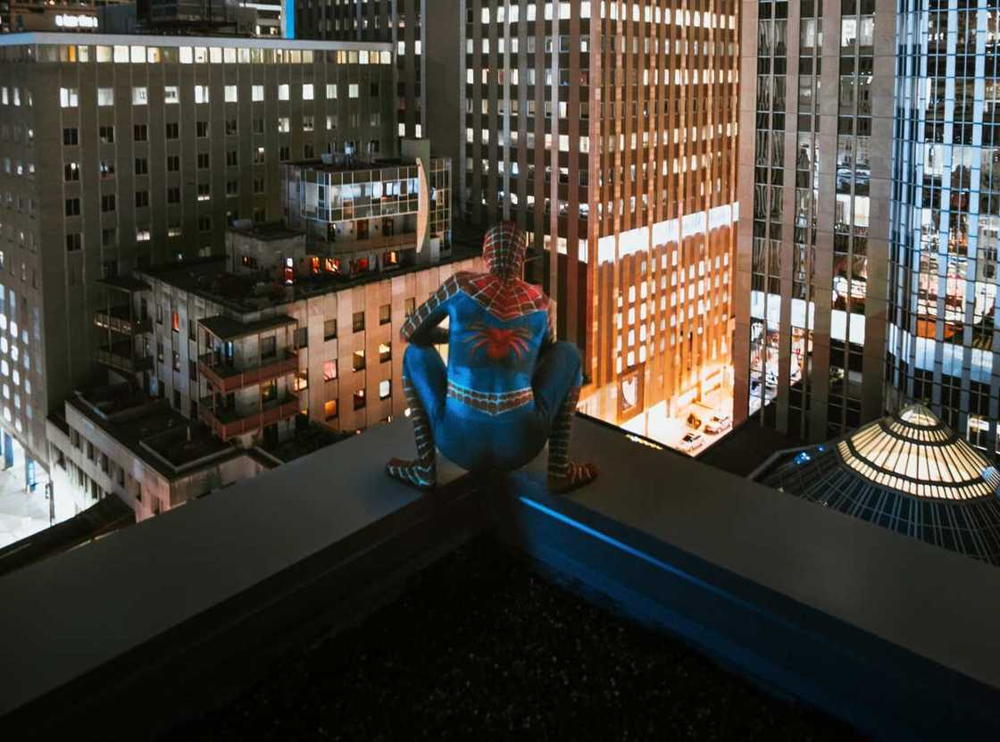 Can you watch Spider-Man in any order? Can you watch Spider-Man in any order?