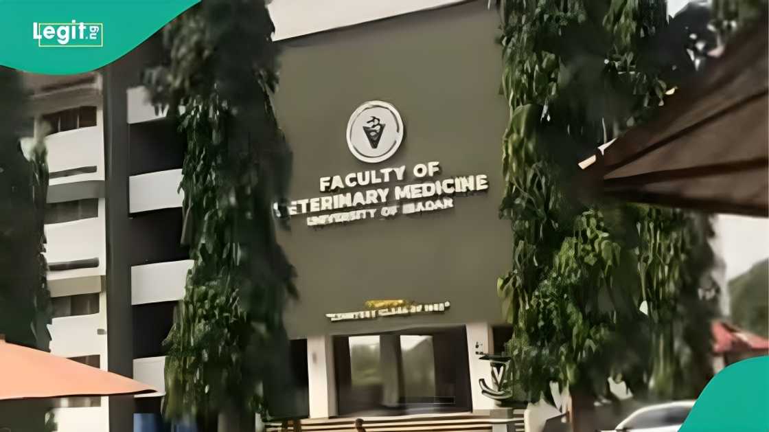 Man who chose UI on advice shares post-UTME score and final course Man who chose UI on advice shares post-UTME score and final course