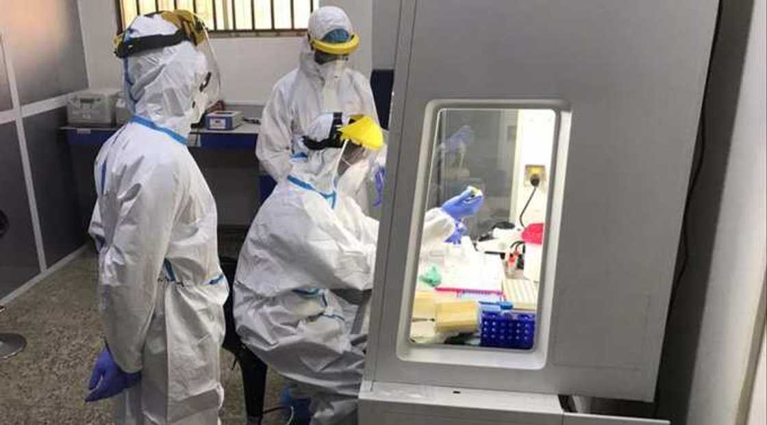 Za a biya ma'aikatan lafiya kudin allawus na musamman kafin karshen mako - FG Za a biya ma'aikatan lafiya kudin allawus na musamman kafin karshen mako - FG