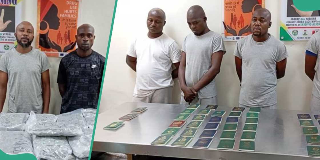 NDLEA ta kame masu safarar kwaya NDLEA ta kame masu safarar kwaya