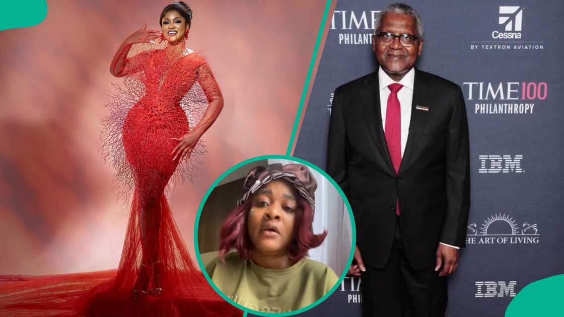 Phyna shares thoughts as Dangote rep stops replying her. Phyna shares thoughts as Dangote rep stops replying her.