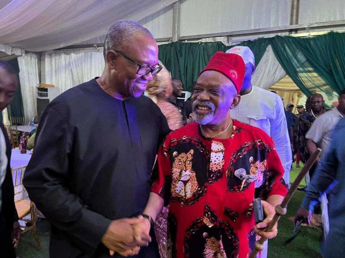 2023 election, Chris Ngige's declaration, ASUU, NARD strikes