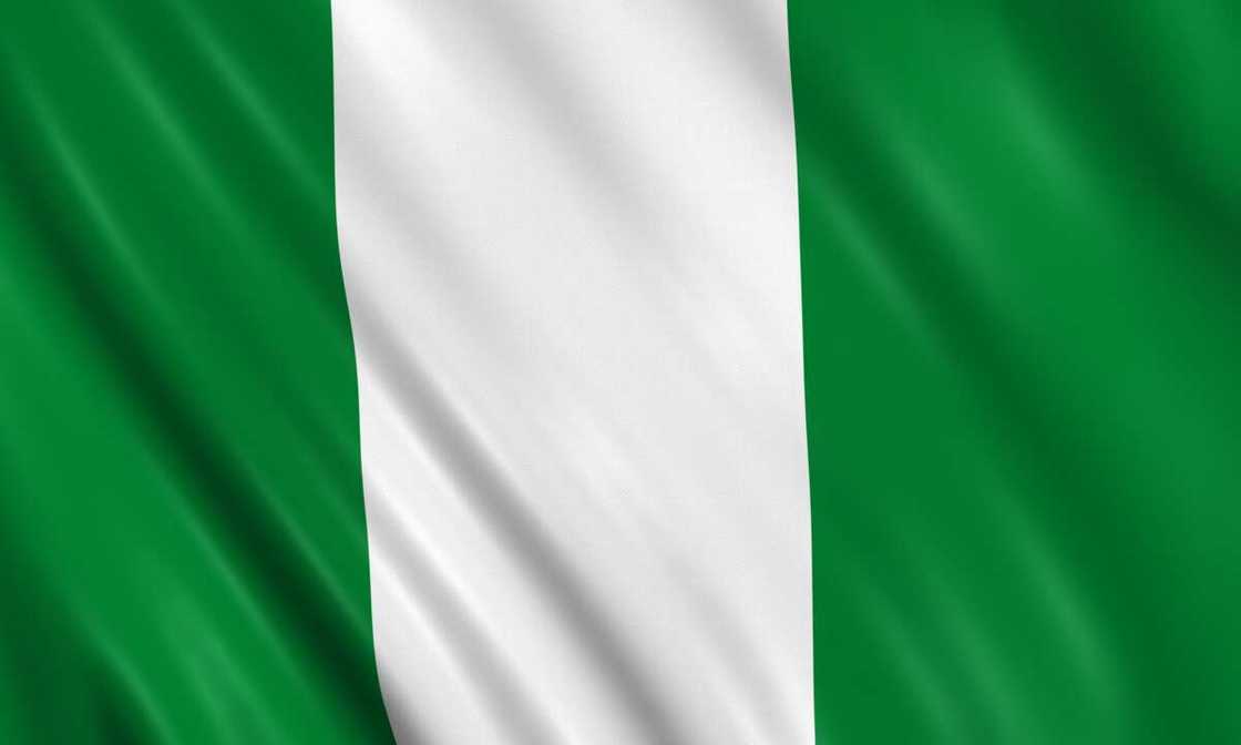 The Flag of Nigeria waving with highly detailed textile texture pattern The Flag of Nigeria waving with highly detailed textile texture pattern