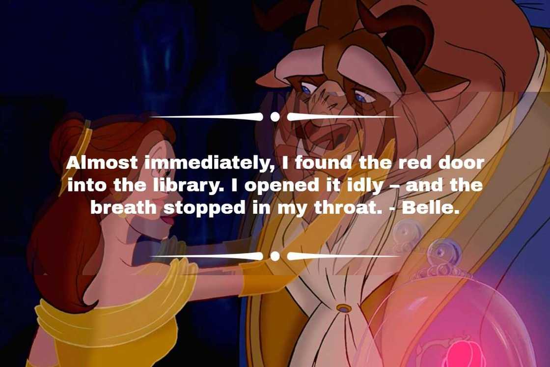Beauty and the Beast quote Beauty and the Beast quote