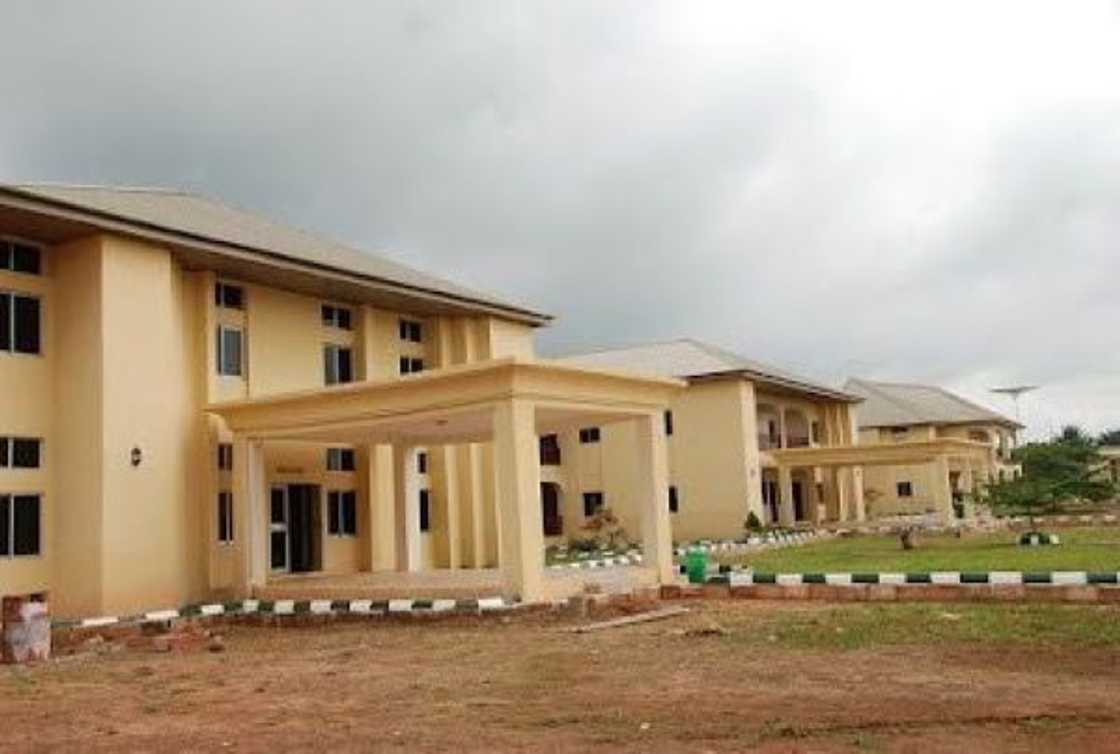 No JAMB? No Problem! Discover Easy Admission at Hezekiah University No JAMB? No Problem! Discover Easy Admission at Hezekiah University