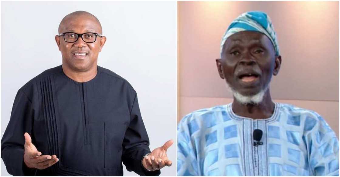 Lamidi Apapa, Peter Obi, Bola Tinubu, APC, Labour Party crisis, 2023 presidential elections, Tribunal