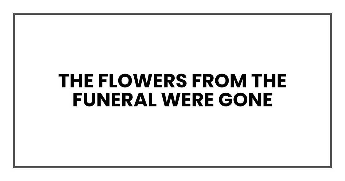 THE FLOWERS FROM THE FUNERAL WERE GONE THE FLOWERS FROM THE FUNERAL WERE GONE
