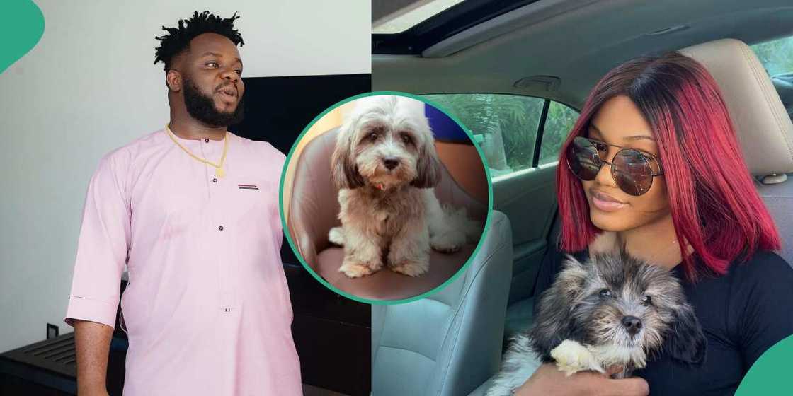 Photos of Sabinus, his girlfriend and his dog