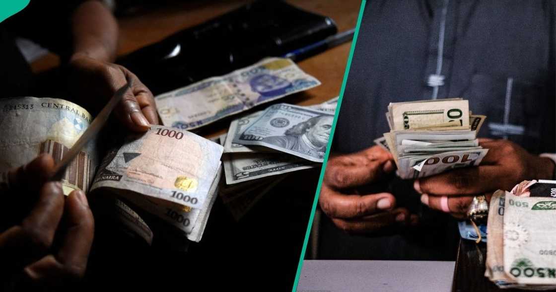 Naira gains against the US dollar as FX turnover jumps 123% to $179.6 million