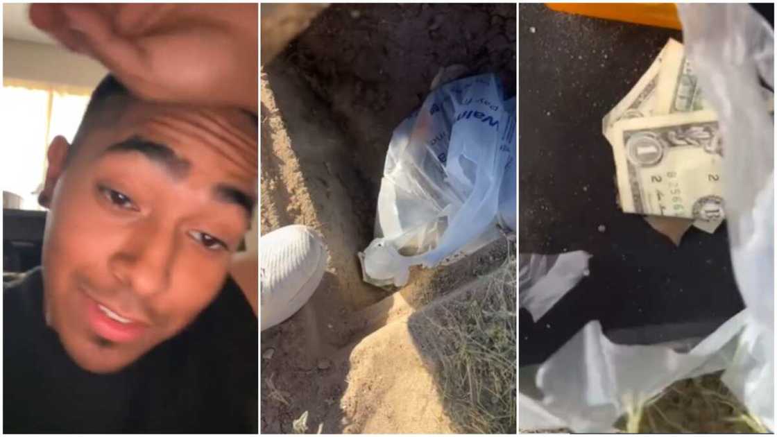 Dollars on the road/Abandoned money. Dollars on the road/Abandoned money.