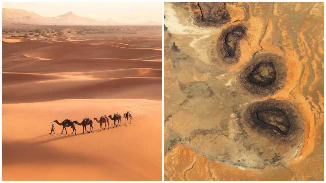 biggest things in the world biggest things in the world