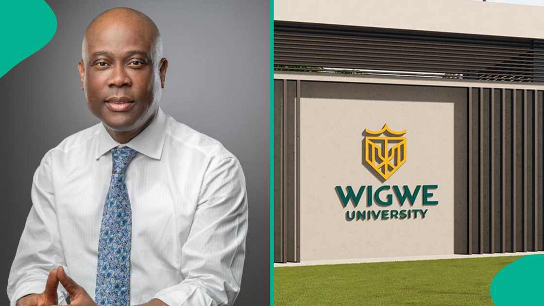 Wigwe University admission requirements Wigwe University admission requirements
