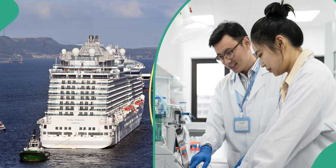 Scientists at CDC investigating strange illness onboard cruise. Scientists at CDC investigating strange illness onboard cruise.