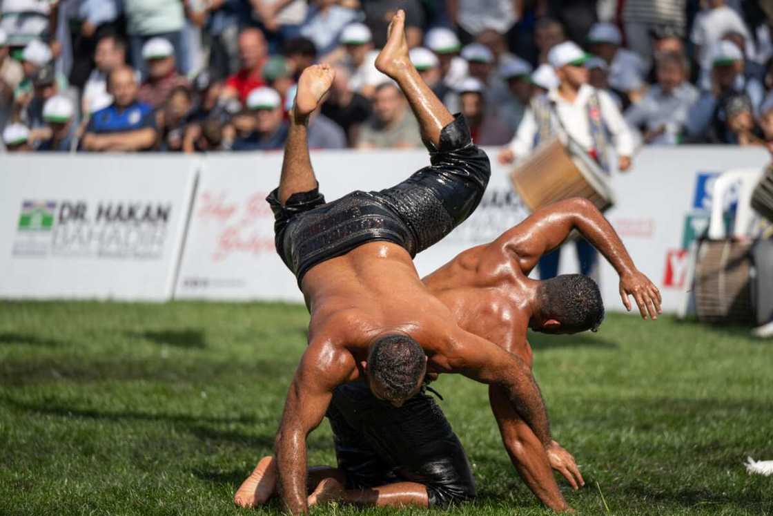 is wrestling real or fake is wrestling real or fake