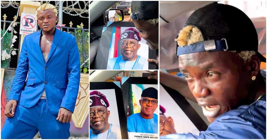 Portable Zazu Portable Zazu