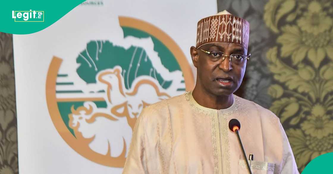 Nigeria pushing to boost local milk production Nigeria pushing to boost local milk production