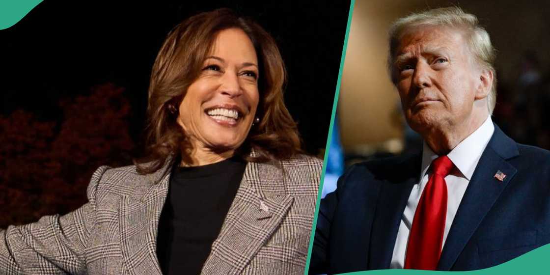 US election 2024: How Americans elect their president as candidate with highest vote may not win US election 2024: How Americans elect their president as candidate with highest vote may not win