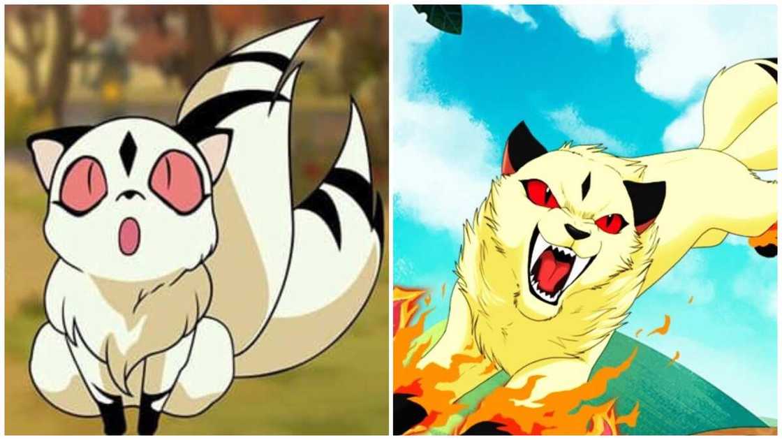 cats from anime cats from anime