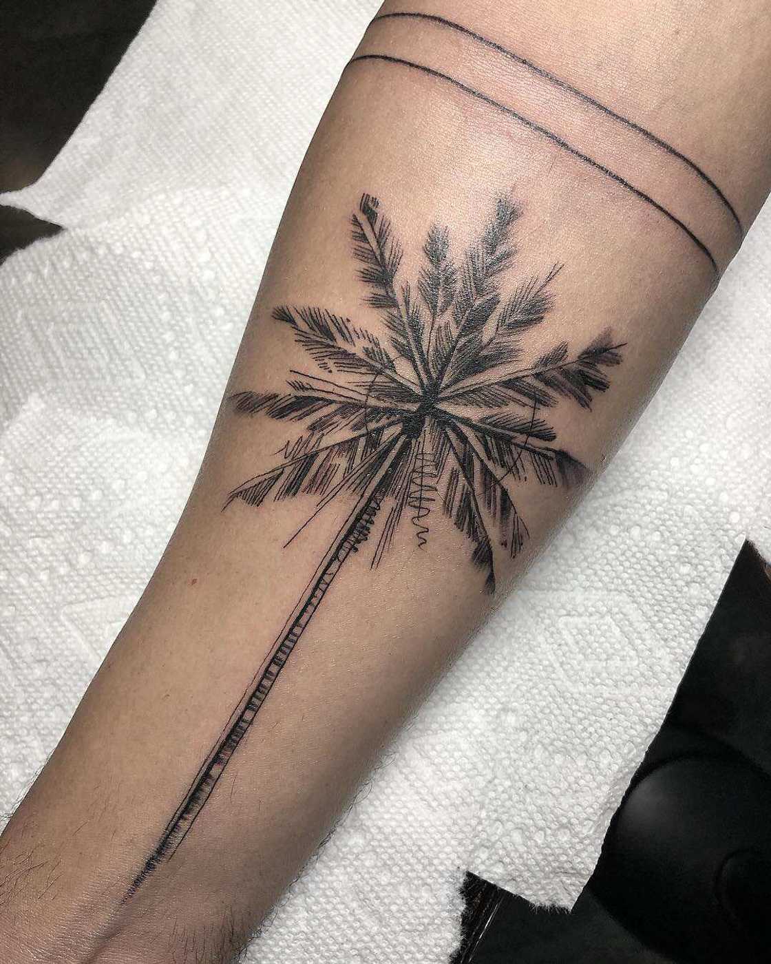 palm tree symbolism palm tree symbolism