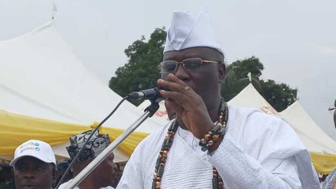 Gani Adams