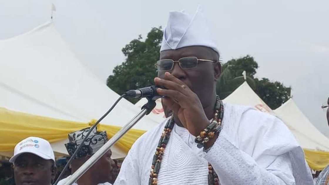 Gani Adams Gani Adams
