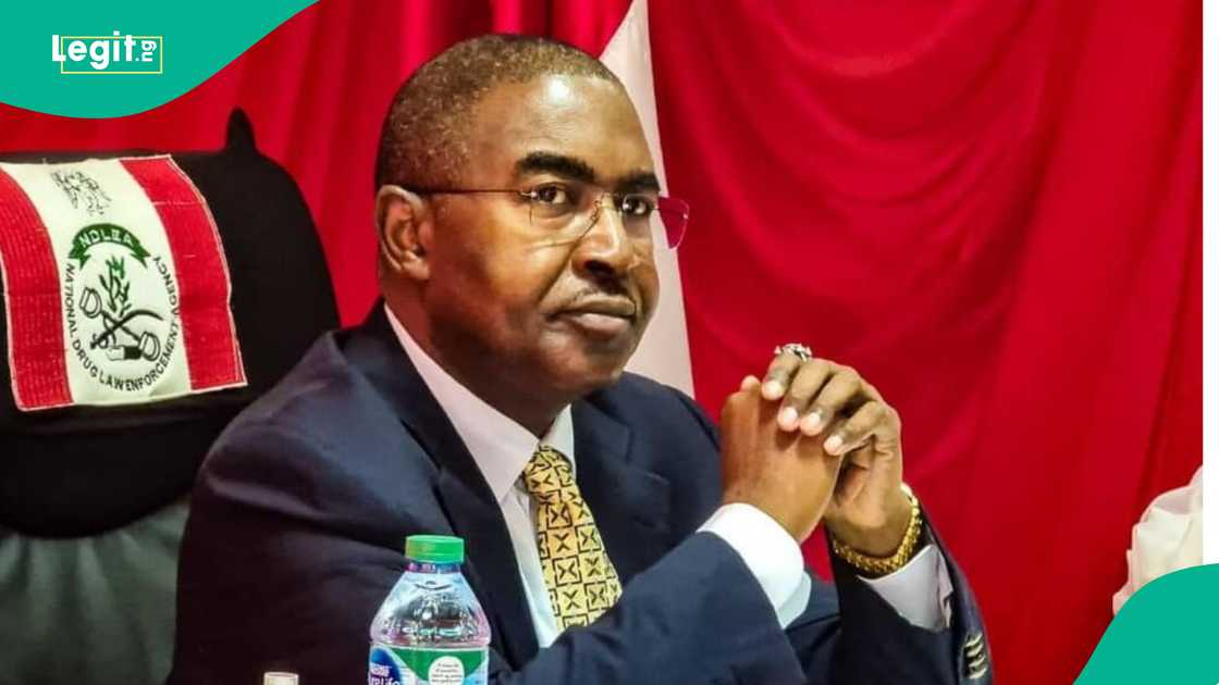 Officers intercept female terrorist drug supplier with Colorado cannabi-s in Borno State.