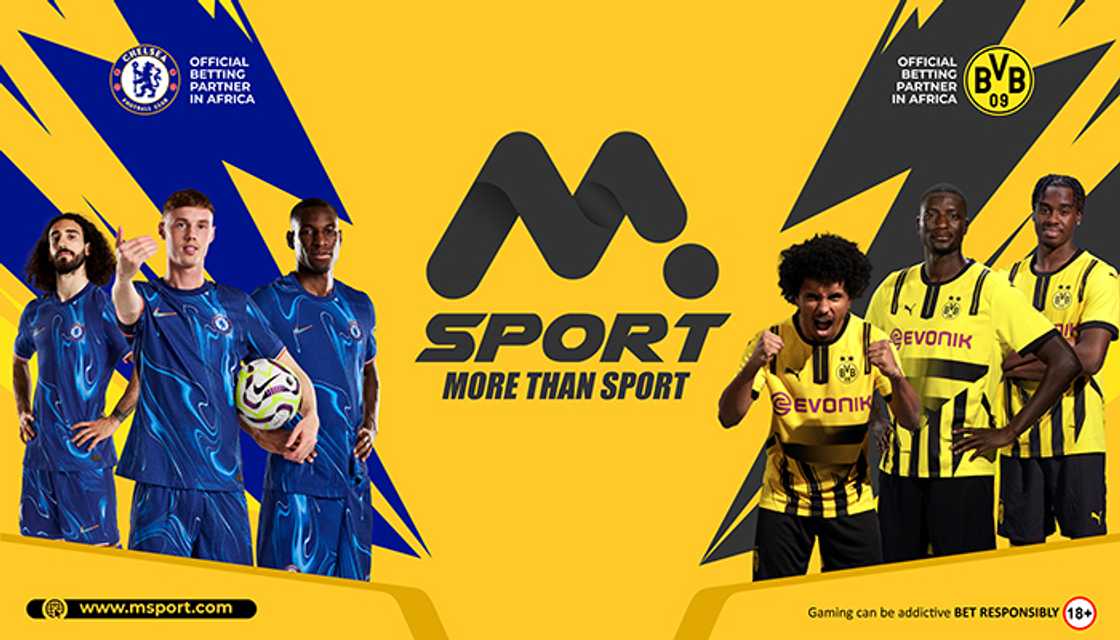 The Rise of MSport: Nigeria’s Fastest-Growing Online Sports Betting & Casino Platform The Rise of MSport: Nigeria’s Fastest-Growing Online Sports Betting & Casino Platform
