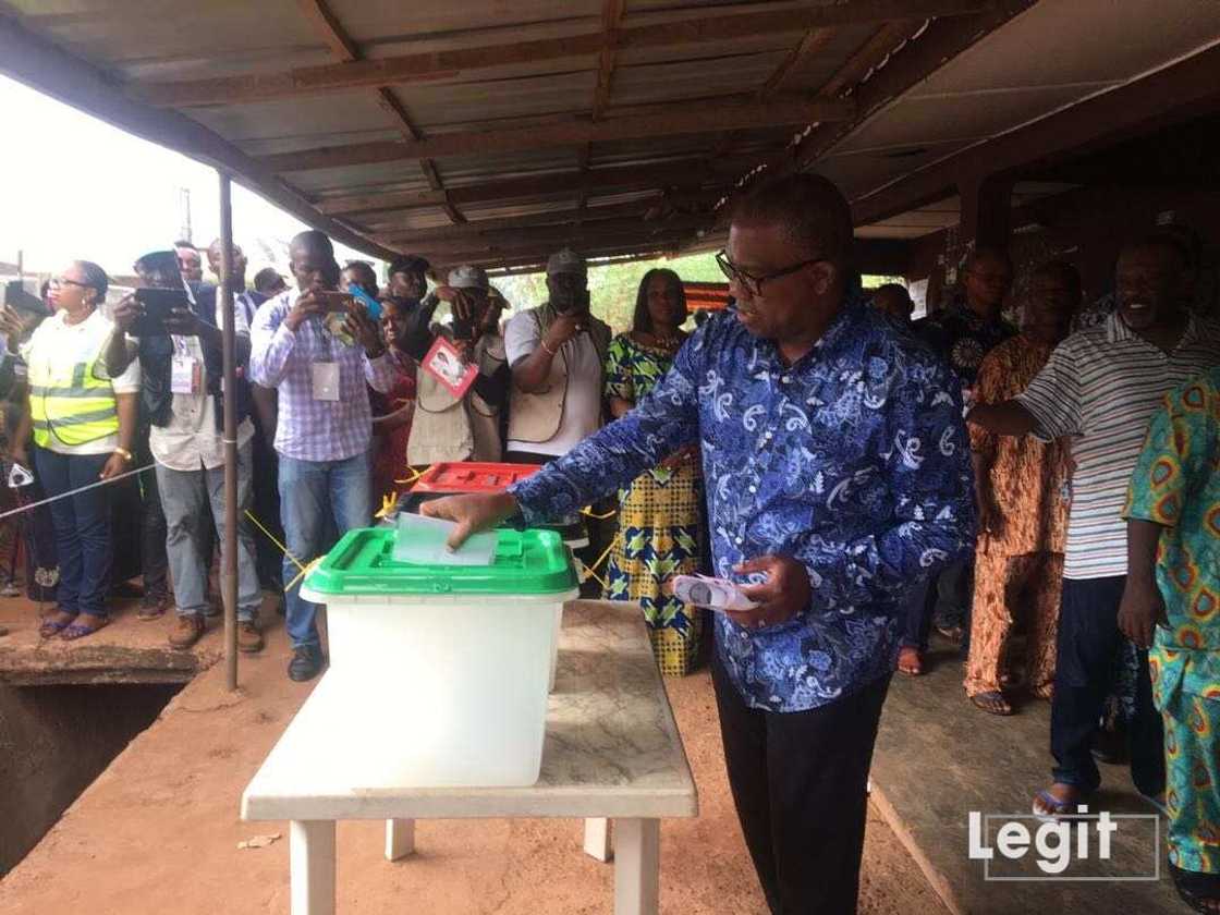Peter Obi Peter Obi