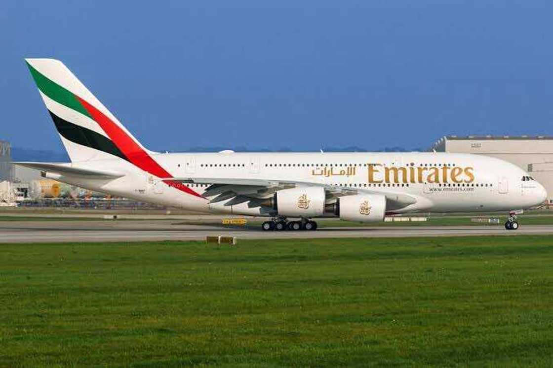 COVID-19: UAE paid for tickets, test fees as 246 Nigerians amid pandemic COVID-19: UAE paid for tickets, test fees as 246 Nigerians amid pandemic