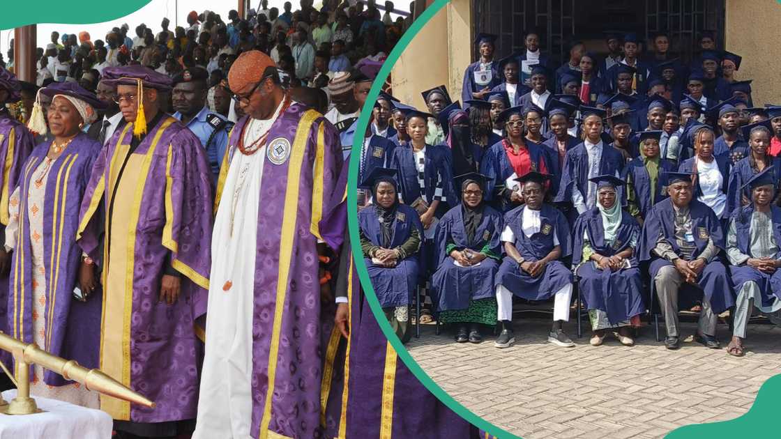 Members of the Federal University of Technology, Minna, staff in purple academic dresses (L) and the University of Ilorin graduates in navy blue academic dresses (R)
Photo: @Federal University of Technology, Minna, @University of Ilorin, Nigeria Members of the Federal University of Technology, Minna, staff in purple academic dresses (L) and the University of Ilorin graduates in navy blue academic dresses (R)
Photo: @Federal University of Technology, Minna, @University of Ilorin, Nigeria