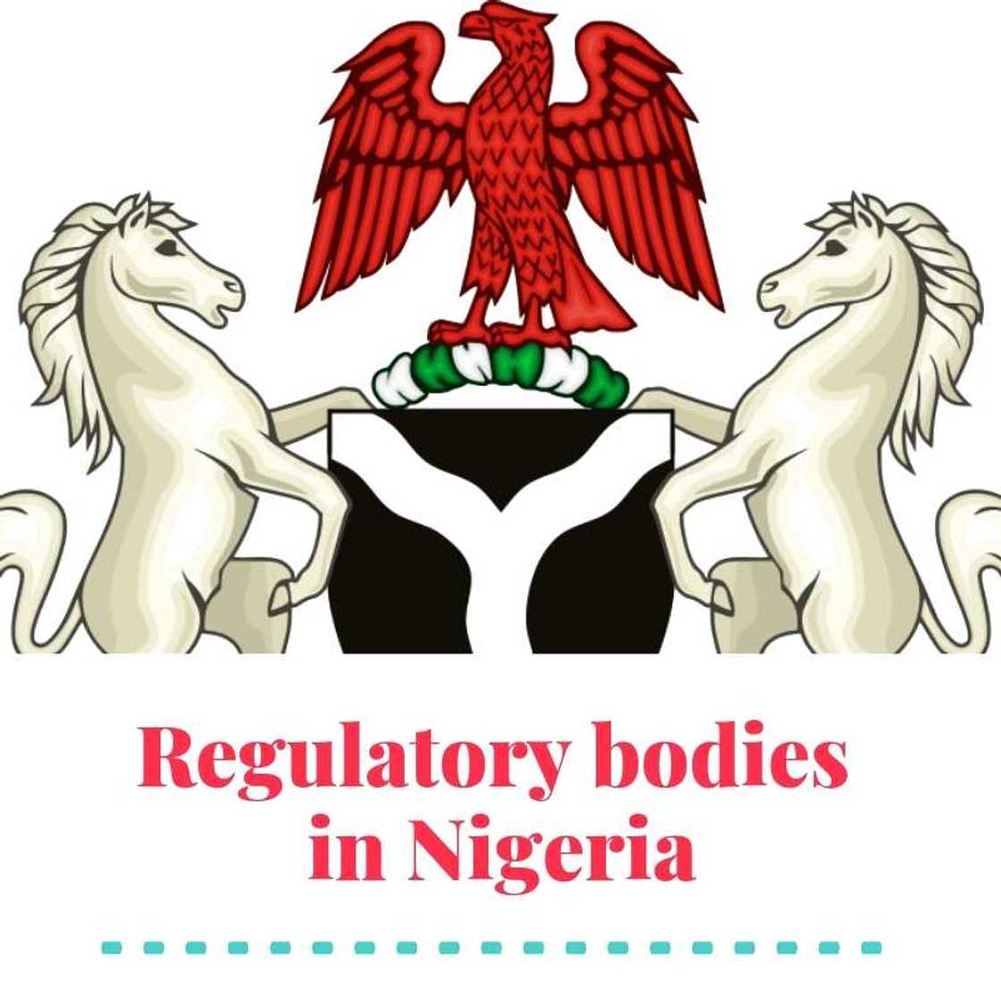 Functions of Regulatory Bodies in Nigeria Functions of Regulatory Bodies in Nigeria