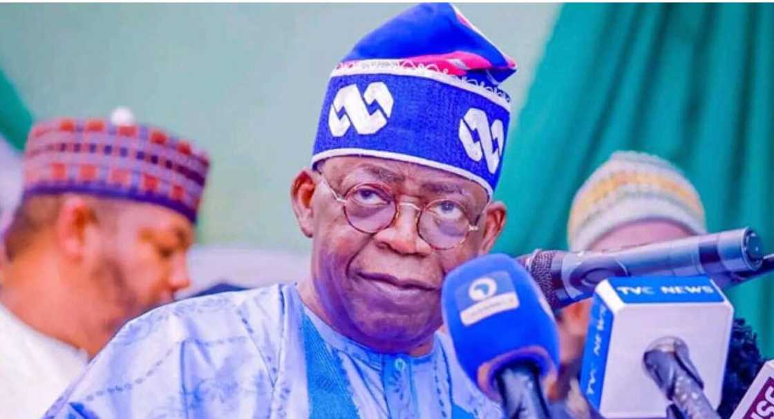 Tinubu da Tafkin Chadi Tinubu da Tafkin Chadi