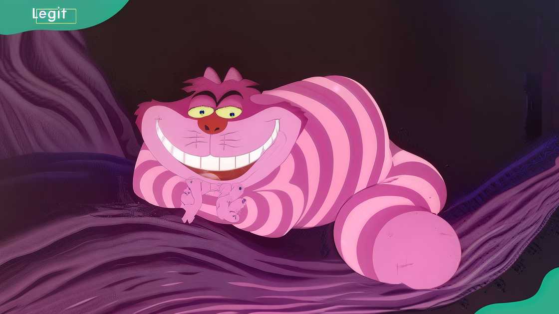 Cheshire Cat Cheshire Cat