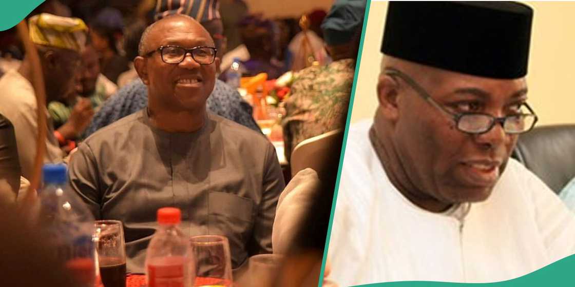 Doyin Okupe said Peter Obi was a child when he joined politics in 1978 and that he never betrayed the ex-Labour Party presidential candidate and that Obi betrayed Atiku Abubakar of the PDP. Doyin Okupe said Peter Obi was a child when he joined politics in 1978 and that he never betrayed the ex-Labour Party presidential candidate and that Obi betrayed Atiku Abubakar of the PDP.