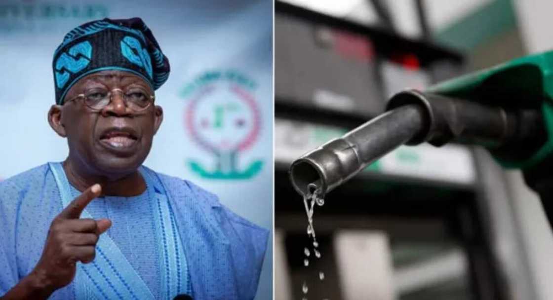 An nemi Tinubu ya bayyana kudin da ya tara daga cire tallafi An nemi Tinubu ya bayyana kudin da ya tara daga cire tallafi