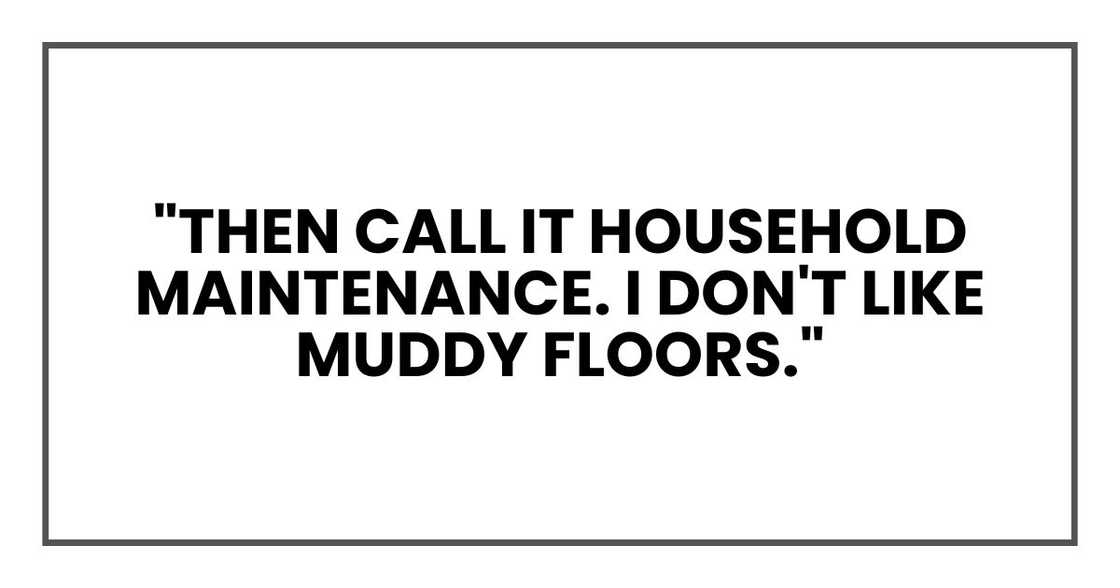 "Then call it household maintenance. I don't like muddy floors."