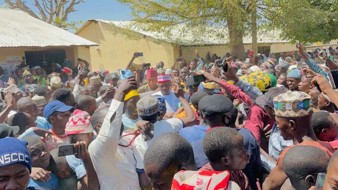 2023 election, NNPP, Kano state, Rabiu Kwankwaso 2023 election, NNPP, Kano state, Rabiu Kwankwaso